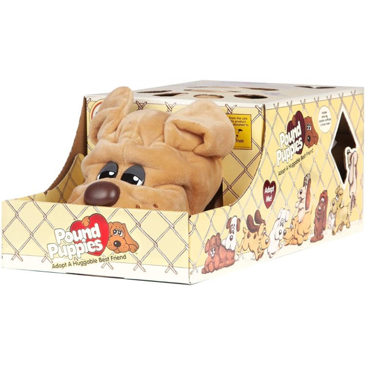 dog pound puppies